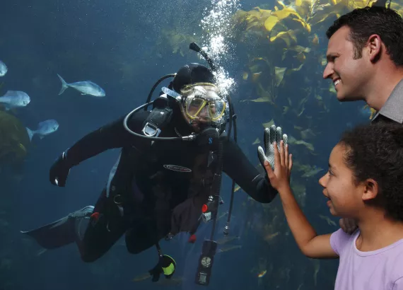 Monterey Bay Aquarium