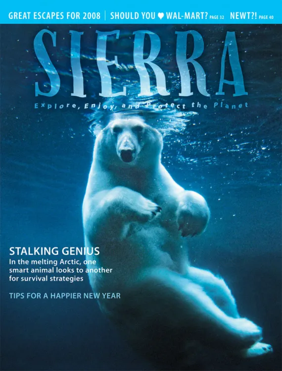 January/February 2008