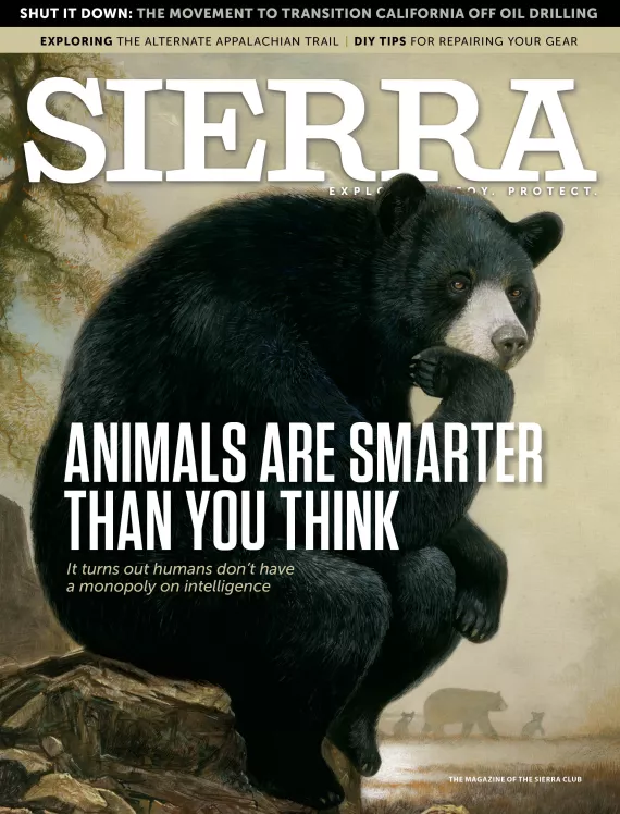 2019 March/April Sierra magazine