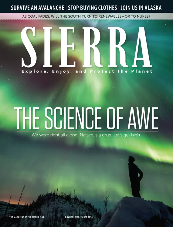 2014 Nov/Dec Issue