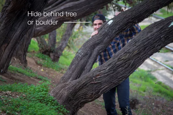 If you encounter a rampant moose, simply duck behind a tree or boulder