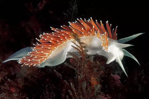 Underwater World