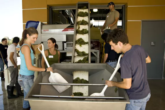 University of California, Davis