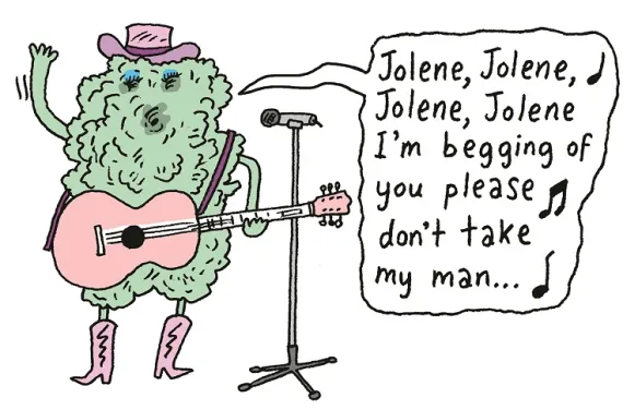 A new species of lichen discovered in Appalachia is named after country singer Dolly Parton.