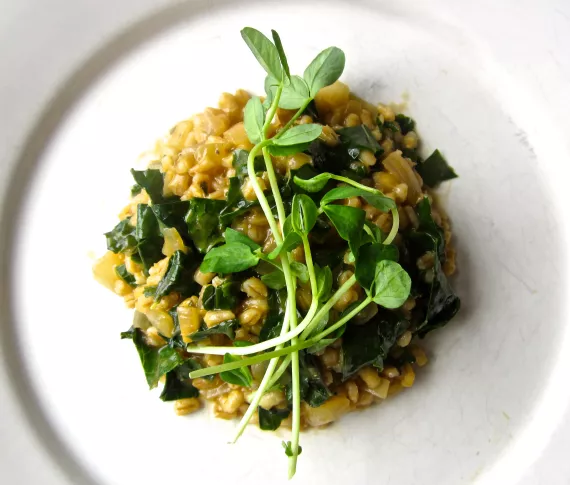 Barley risotto