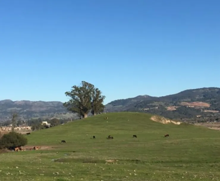 Ghisletta property in Napa, CA