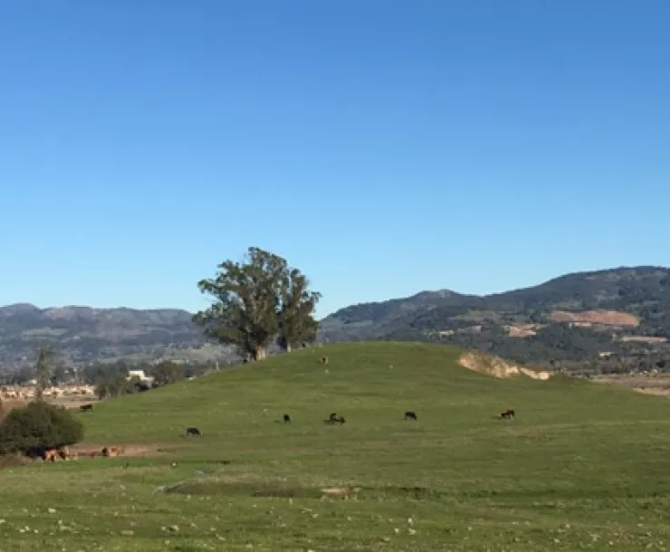 Ghisletta property in Napa, CA