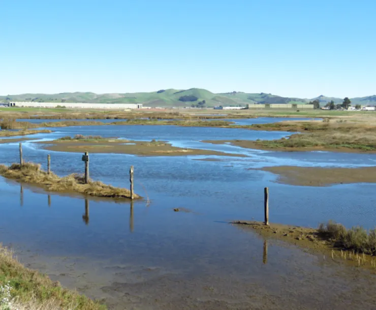 Green Island area in American Canyon