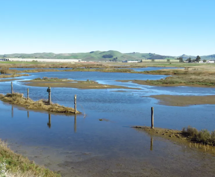 Green Island area in American Canyon