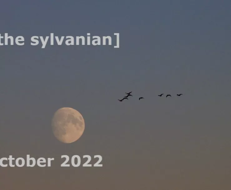 [the sylvanian] October 2022