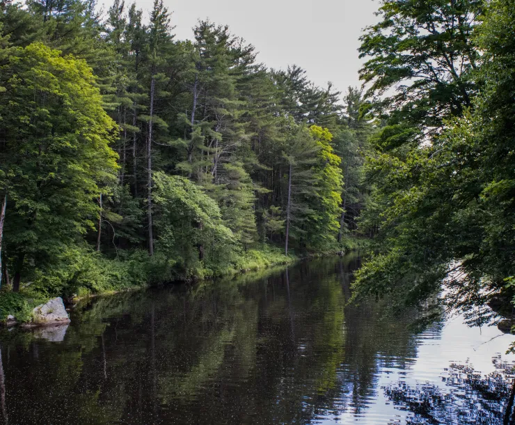 Millers Falls, Photo by Tim Dusenberry: https://www.pexels.com/photo/nature-forest-trees-river-12616458/