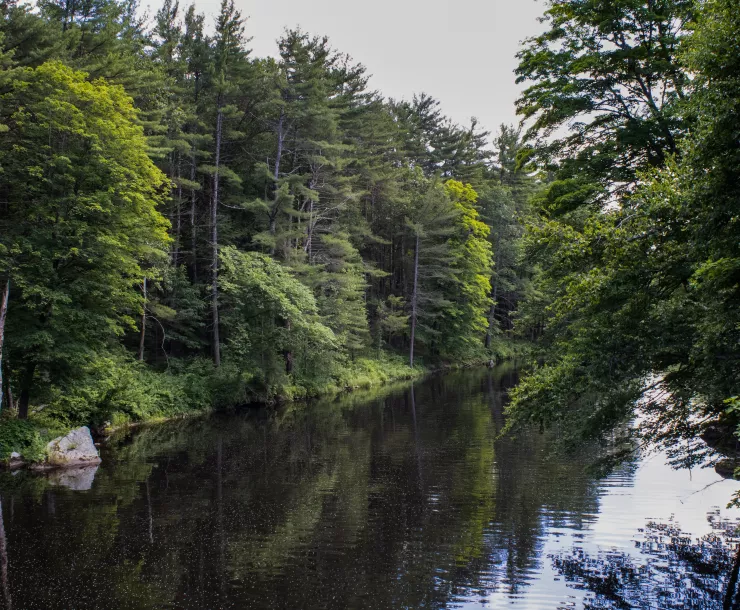 Millers Falls, Photo by Tim Dusenberry: https://www.pexels.com/photo/nature-forest-trees-river-12616458/