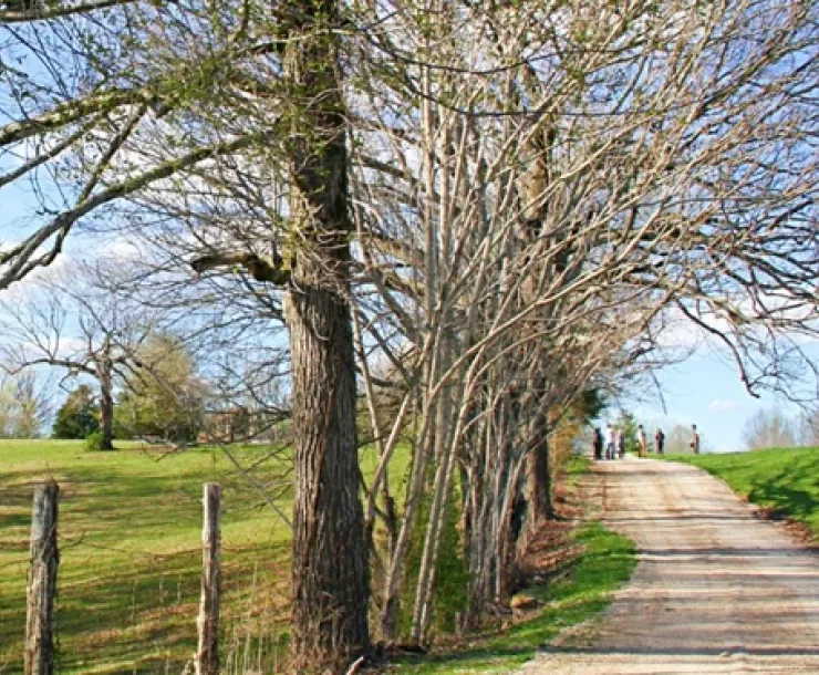 Photo of rural property