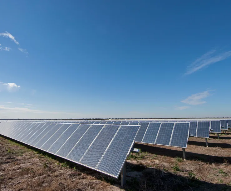 A field of solar panels absorbing sunlight.