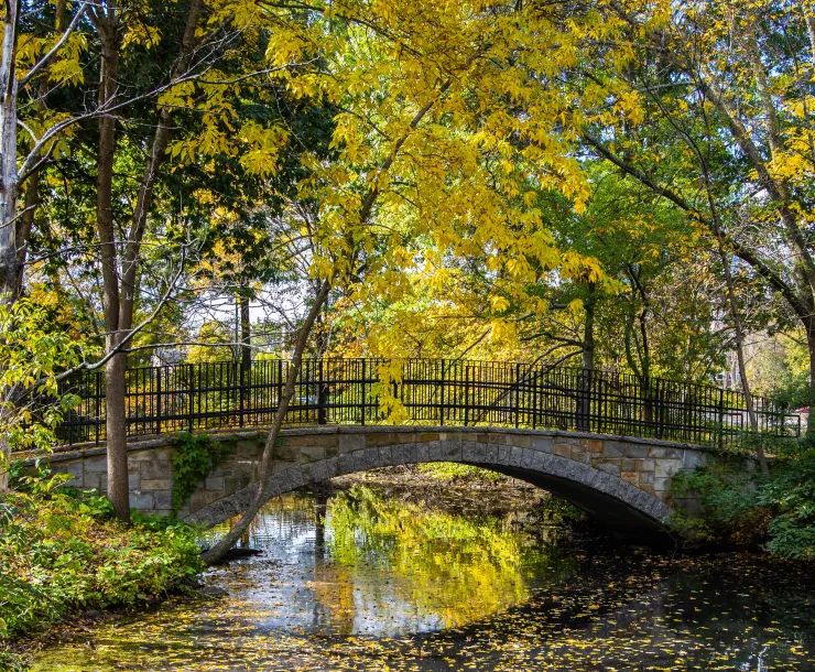 Fens, by Stan Eichner