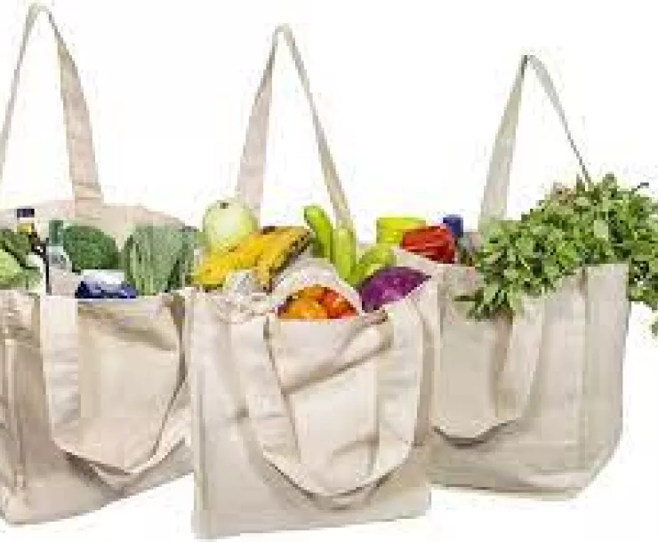 reusable bags filled with produce