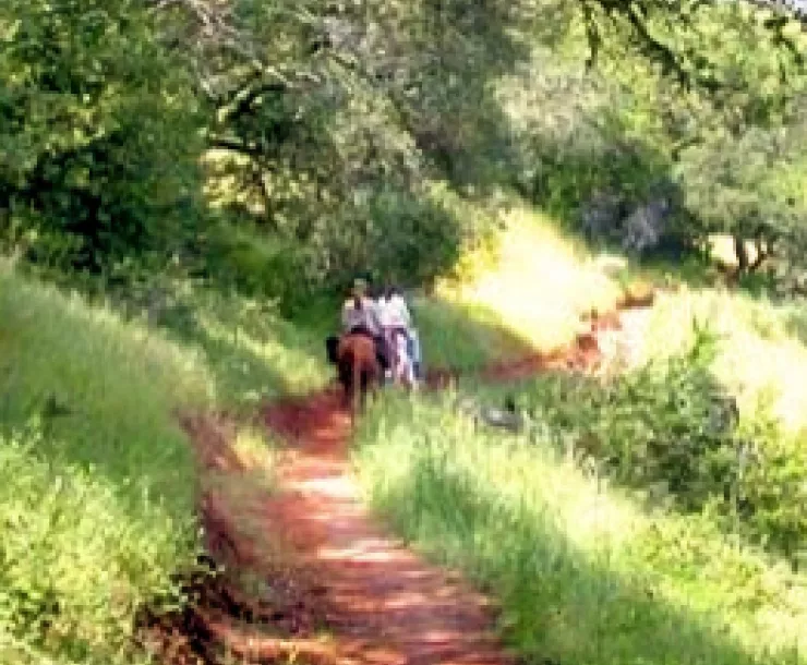 Horse riding on Skyline Park trail