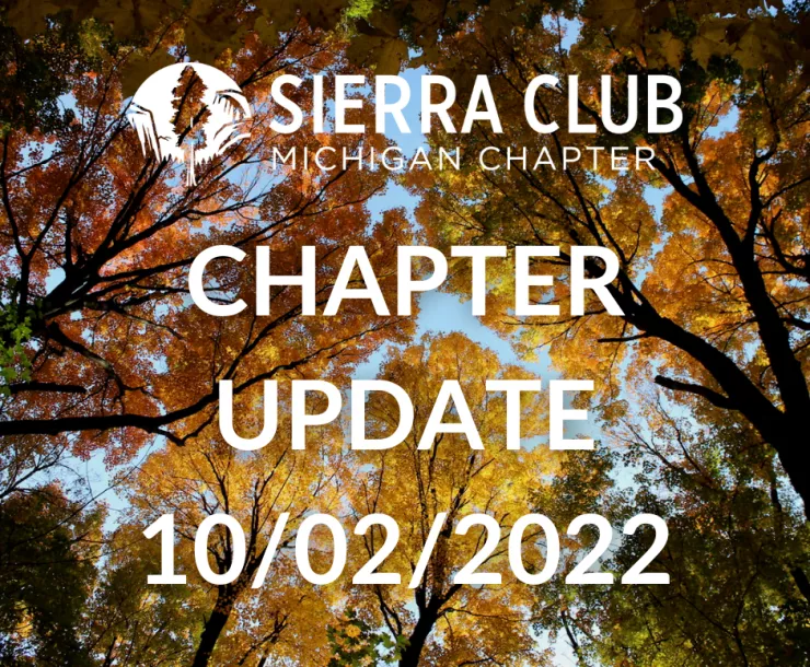 view of fall trees from below with Sierra Club MI logo and the words "Chapter Update 10/02/2022" over image