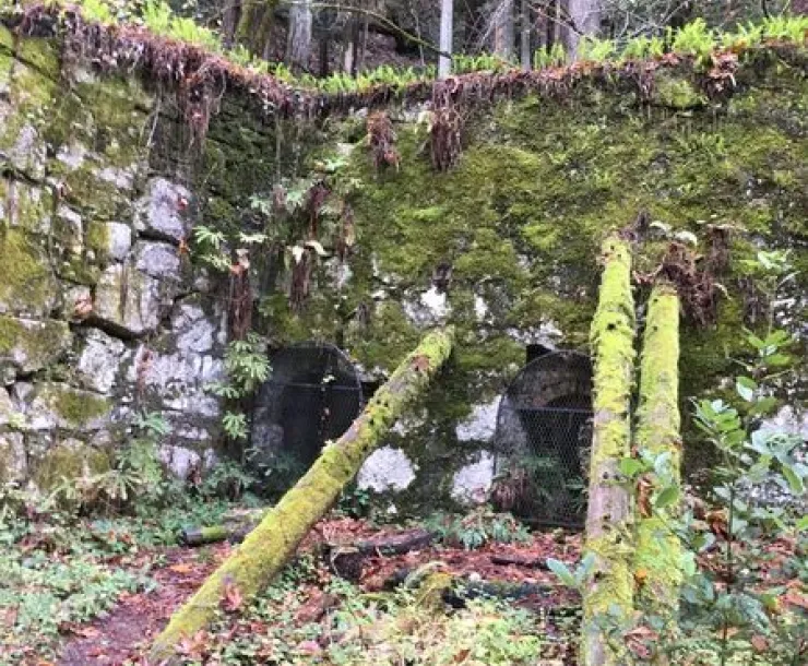 Lime Kilns at Fall Creek