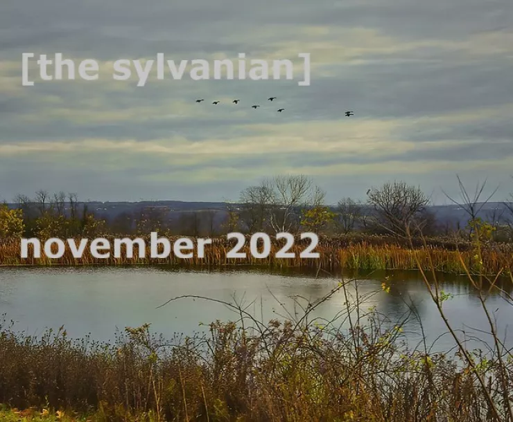 [the sylvanian] November 2022