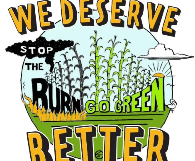 stop the burn logo
