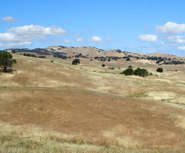 east bay hills