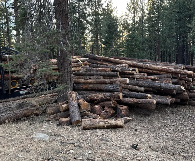 Logging