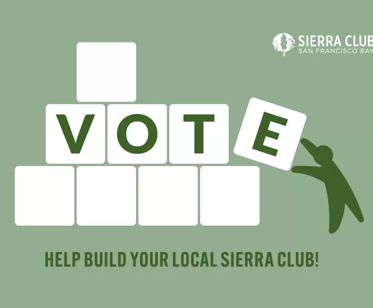 Vote: Help build your local Sierra Club