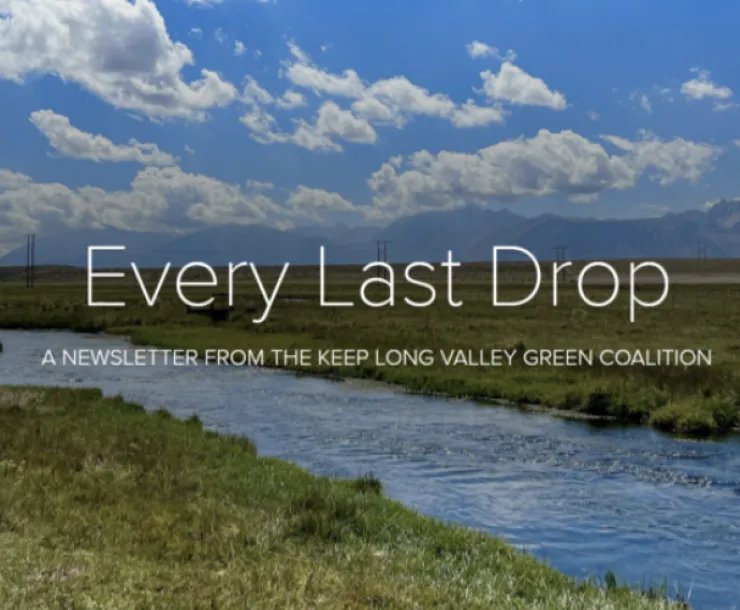 Every Last Drop eNewsletter