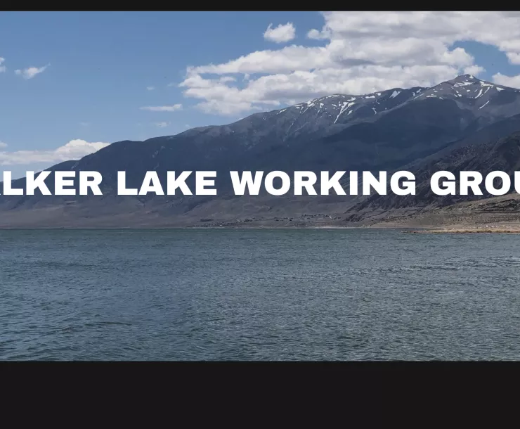 Walker Lake Working Group