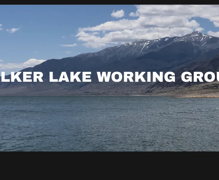 Walker Lake Working Group