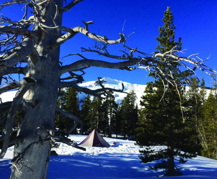 Tent in the snow under a deep blue sky.