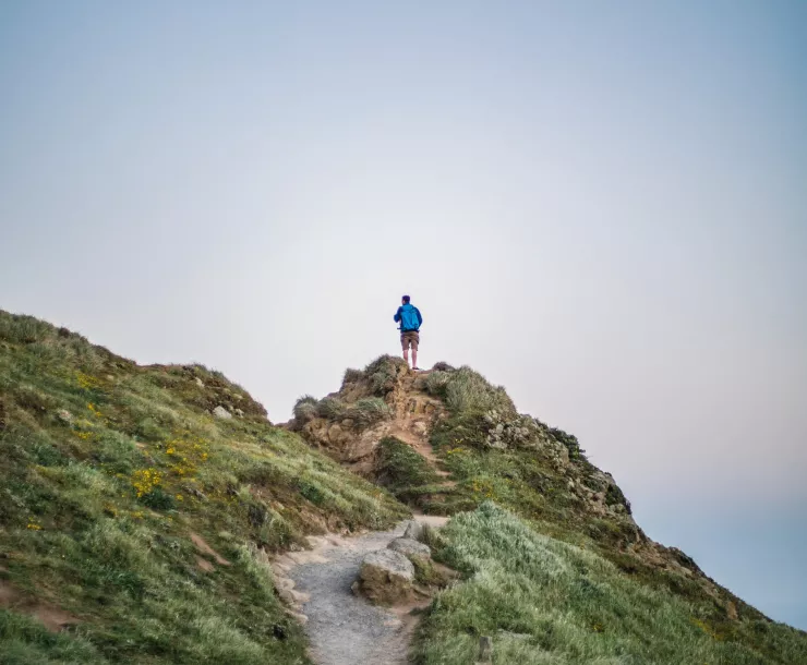 Person with blue backpack walks along lush green trail.