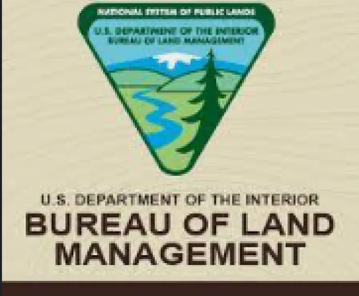 logo for BLM