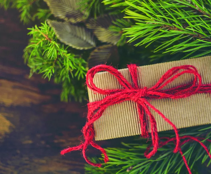 Holiday gift in pine needles