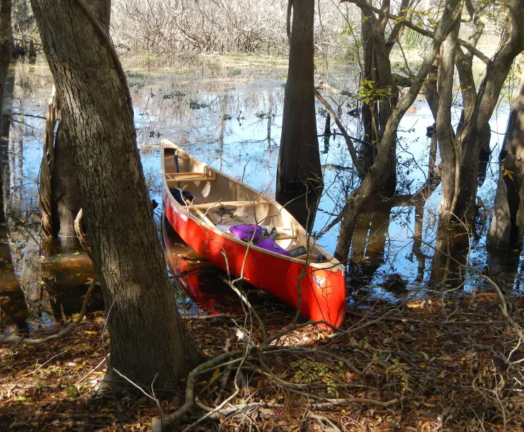 Canoe