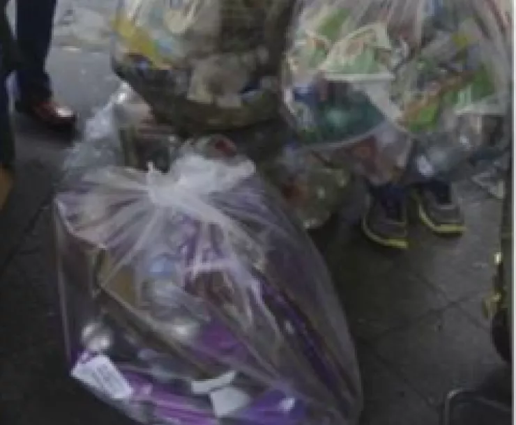 Basura Cera