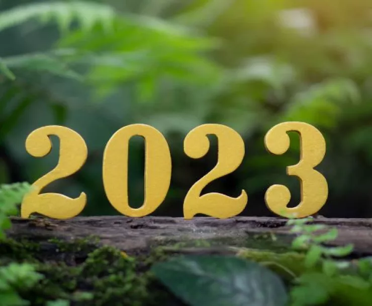 A decorative image of a forest background with the year 2023 displayed.