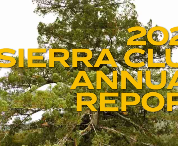 2022 Sierra Club Annual Report Graphic