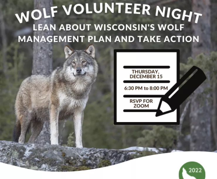 Wolf Volunteer Night