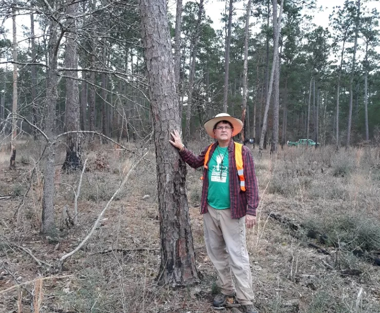 Brandt Mannchen in Big Thicket