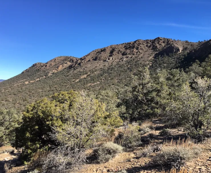Conglomerate Mesa