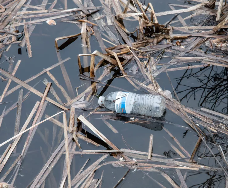 Plastic pollution