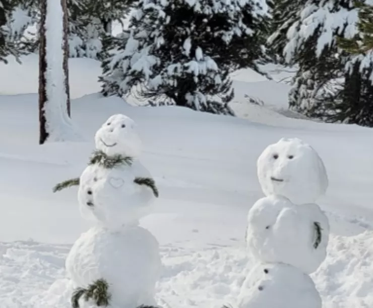 Snowpeople