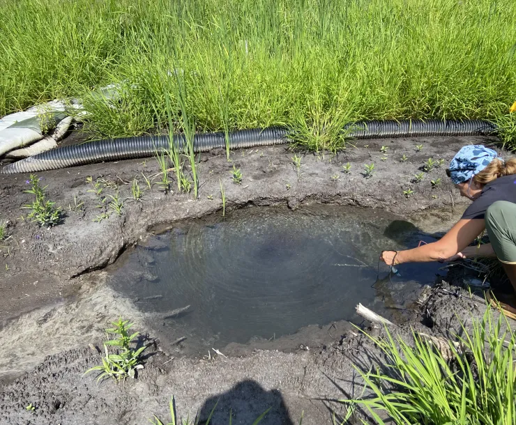 Waadookawaad Amikwag member measuring water at a groundwater upwelling site that was not reported by Enbridge or state agencies in the recent enforcement action. Photo Credit: Waadookawaad Amikwag