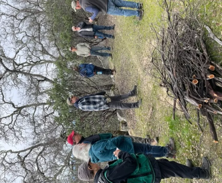 Forest committee on location