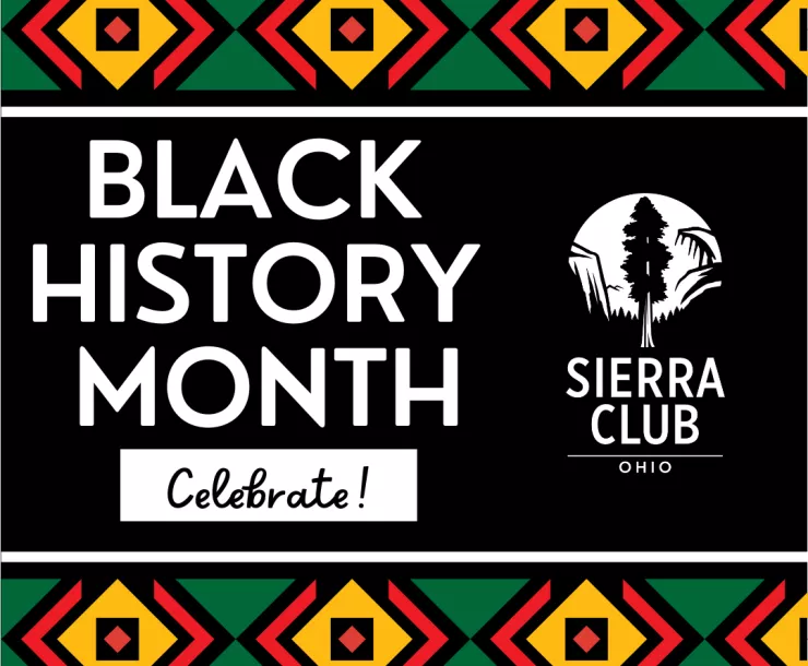 Black History Month - Celebrate! Green, red, yellow design