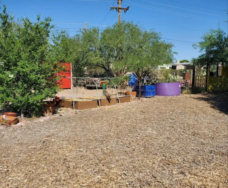 Photo of a community garden showcasing a large garden bed