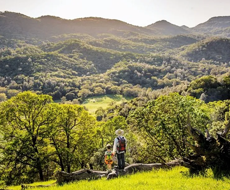 Land Trusts buys Walt Ranch