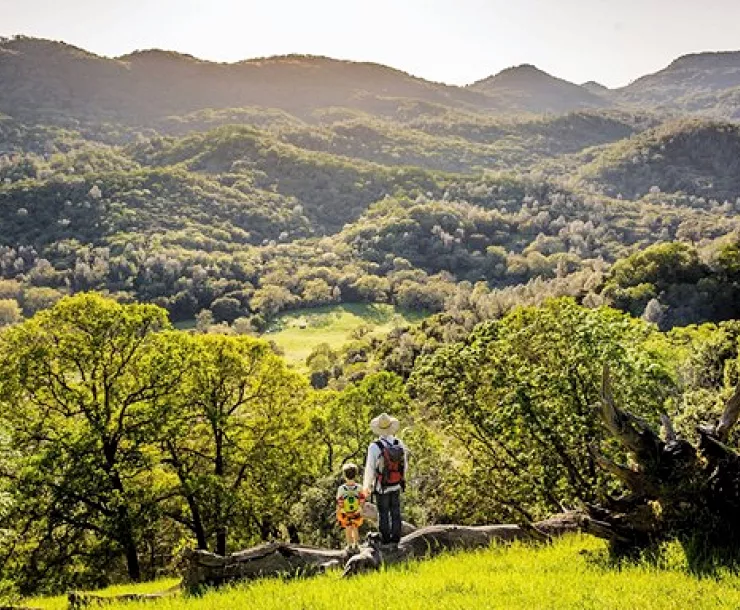 Land Trusts buys Walt Ranch